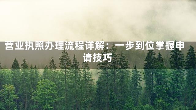 营业执照办理流程详解：一步到位掌握申请技巧