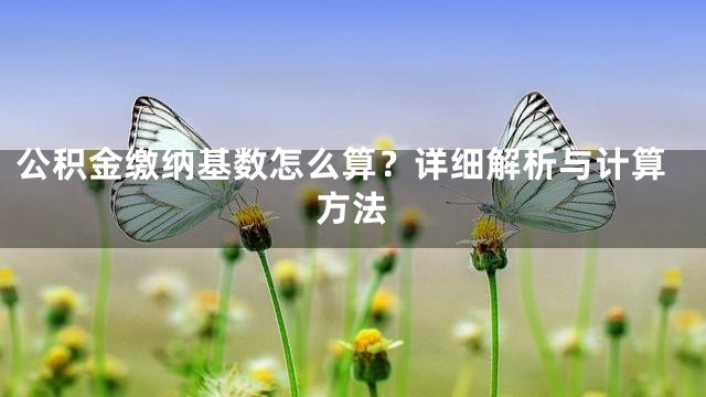 公积金缴纳基数怎么算？详细解析与计算方法