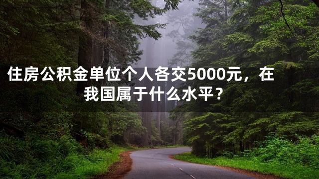 住房公积金单位个人各交5000元，在我国属于什么水平？