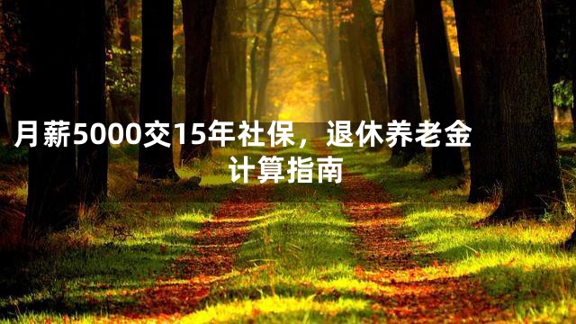 月薪5000交15年社保，退休养老金计算指南