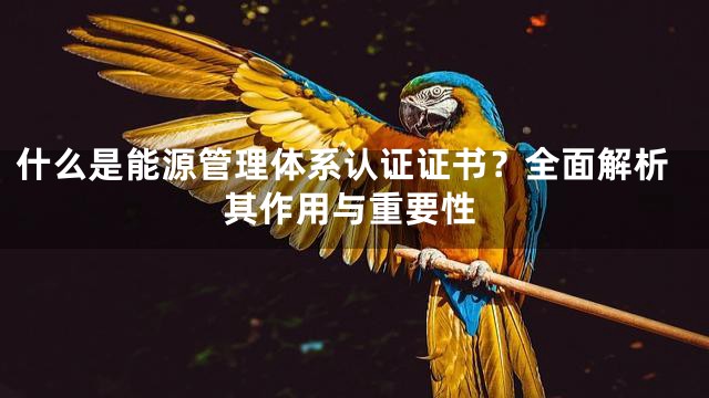 什么是能源管理体系认证证书？全面解析其作用与重要性