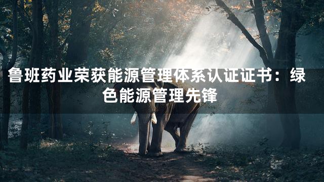 鲁班药业荣获能源管理体系认证证书：绿色能源管理先锋