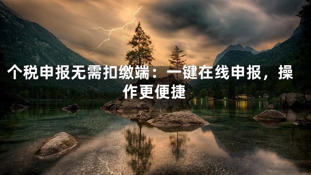 个税申报无需扣缴端：一键在线申报，操作更便捷