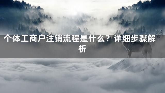 个体工商户注销流程是什么？详细步骤解析
