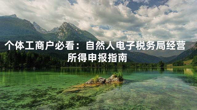 个体工商户必看：自然人电子税务局经营所得申报指南