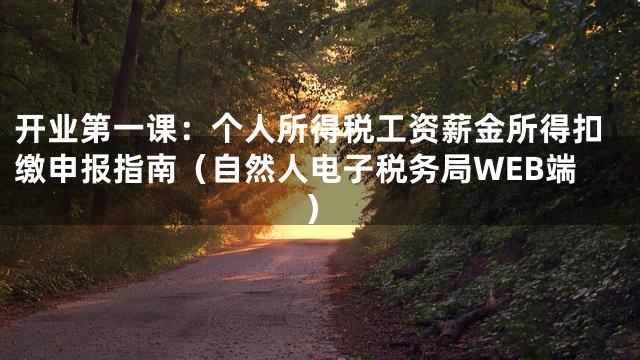 开业第一课：个人所得税工资薪金所得扣缴申报指南（自然人电子税务局WEB端）