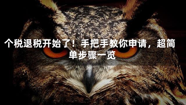 个税退税开始了！手把手教你申请，超简单步骤一览