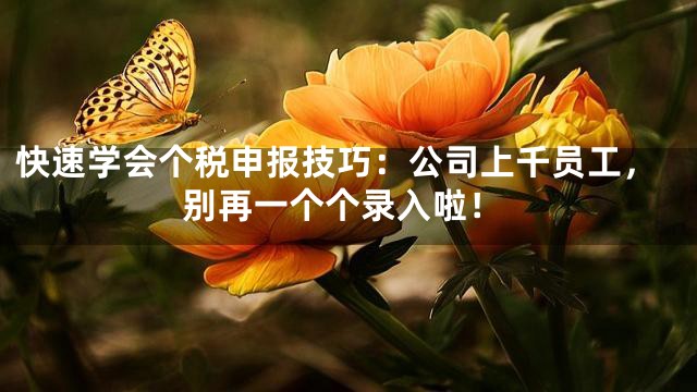 快速学会个税申报技巧：公司上千员工，别再一个个录入啦！