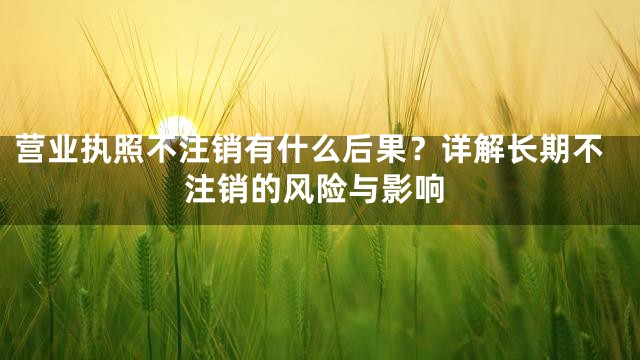 营业执照不注销有什么后果？详解长期不注销的风险与影响
