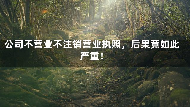 公司不营业不注销营业执照，后果竟如此严重！