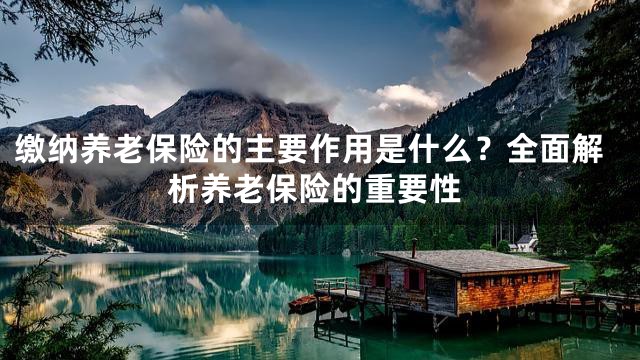 缴纳养老保险的主要作用是什么？全面解析养老保险的重要性