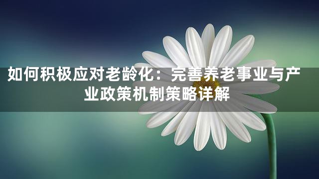 如何积极应对老龄化：完善养老事业与产业政策机制策略详解