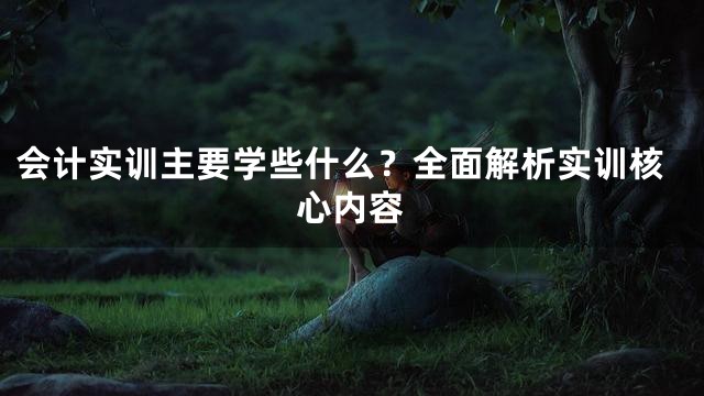 会计实训主要学些什么？全面解析实训核心内容