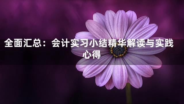 全面汇总：会计实习小结精华解读与实践心得