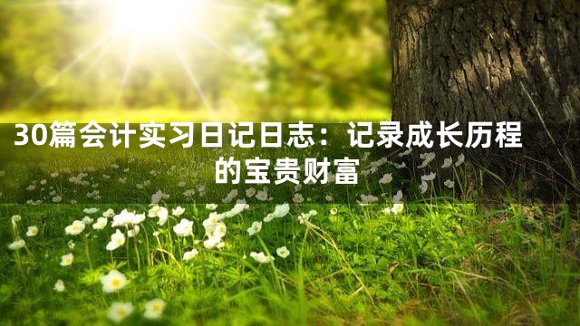 30篇会计实习日记日志：记录成长历程的宝贵财富