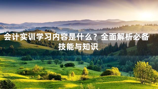 会计实训学习内容是什么？全面解析必备技能与知识