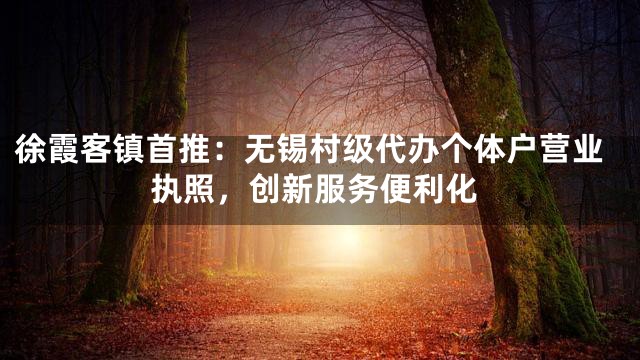 徐霞客镇首推：无锡村级代办个体户营业执照，创新服务便利化