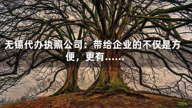 无锡代办执照公司：带给企业的不仅是方便，更有……