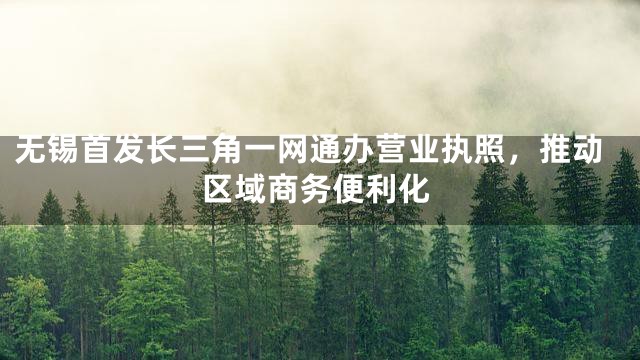 无锡首发长三角一网通办营业执照，推动区域商务便利化