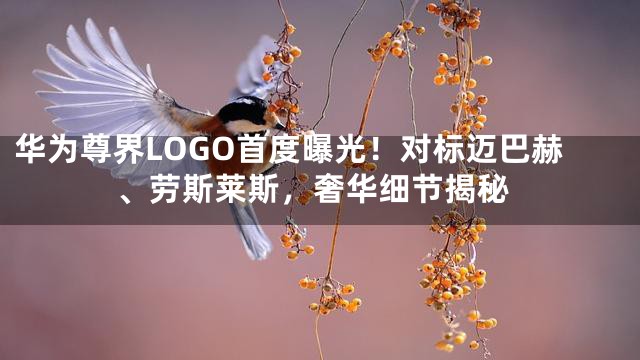华为尊界LOGO首度曝光！对标迈巴赫、劳斯莱斯，奢华细节揭秘