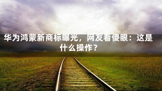 华为鸿蒙新商标曝光，网友看傻眼：这是什么操作？