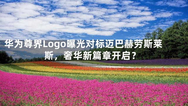 华为尊界Logo曝光对标迈巴赫劳斯莱斯，奢华新篇章开启？