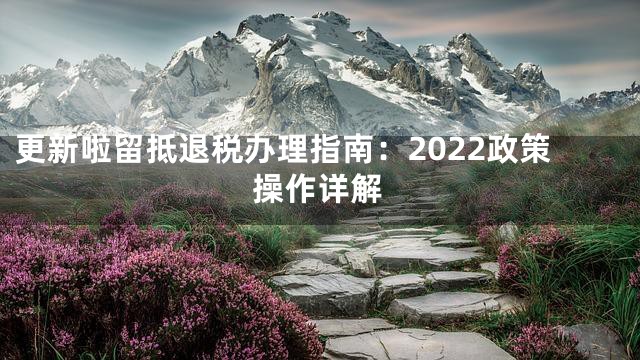 更新啦留抵退税办理指南：2022政策操作详解