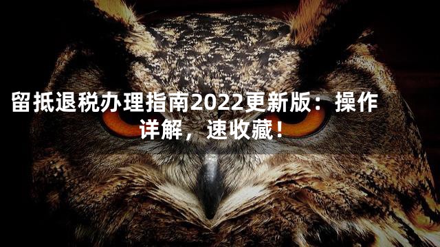 留抵退税办理指南2022更新版：操作详解，速收藏！