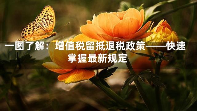 一图了解：增值税留抵退税政策——快速掌握最新规定