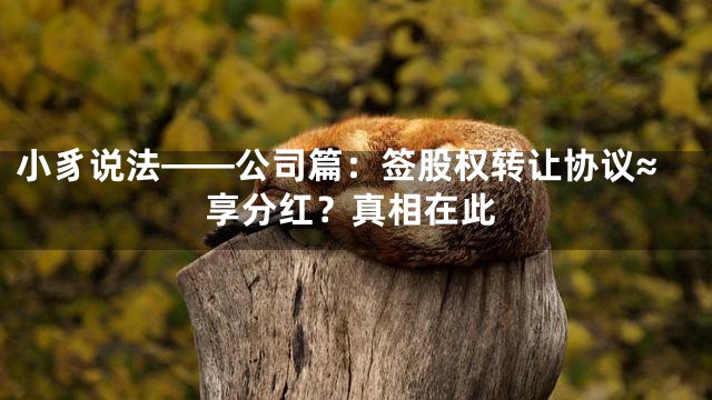 小豸说法——公司篇：签股权转让协议≈享分红？真相在此