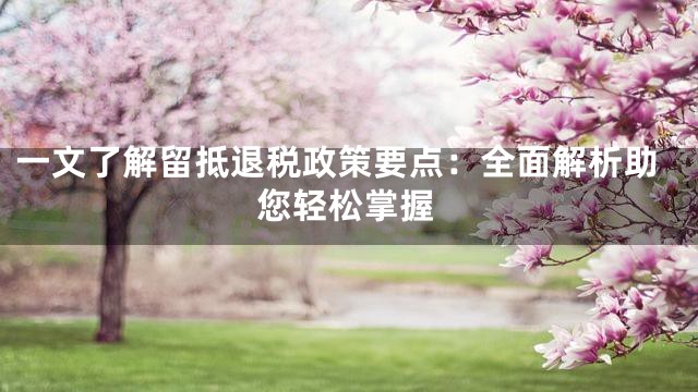 一文了解留抵退税政策要点：全面解析助您轻松掌握