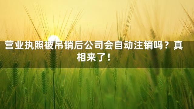 营业执照被吊销后公司会自动注销吗？真相来了！
