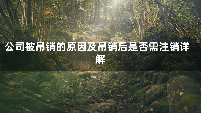 公司被吊销的原因及吊销后是否需注销详解