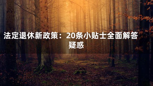 法定退休新政策：20条小贴士全面解答疑惑