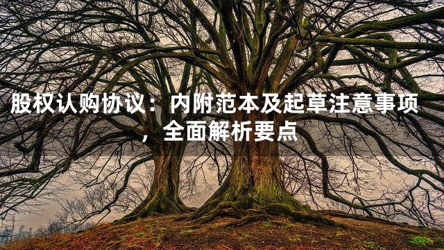 股权认购协议：内附范本及起草注意事项，全面解析要点