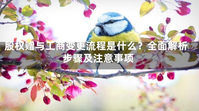 股权赠与工商变更流程是什么？全面解析步骤及注意事项