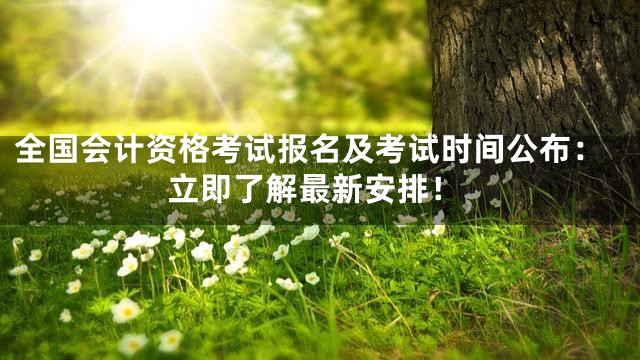 全国会计资格考试报名及考试时间公布：立即了解最新安排！