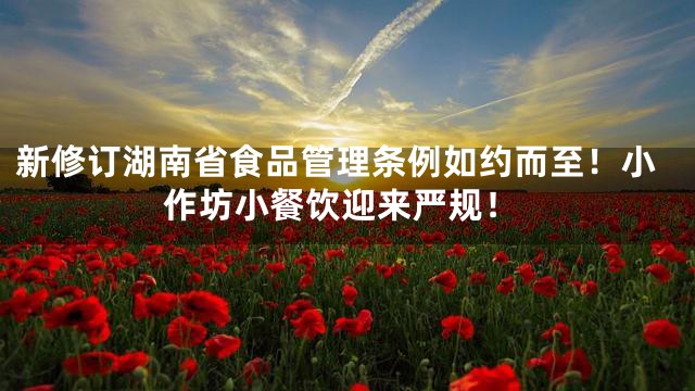 新修订湖南省食品管理条例如约而至！小作坊小餐饮迎来严规！