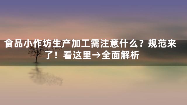 食品小作坊生产加工需注意什么？规范来了！看这里→全面解析