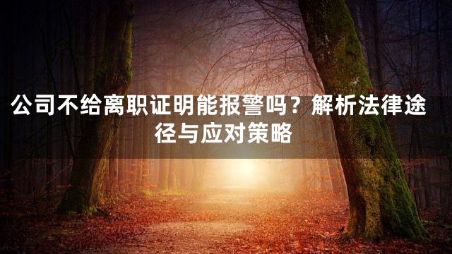 公司不给离职证明能报警吗？解析法律途径与应对策略