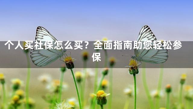 个人买社保怎么买？全面指南助您轻松参保