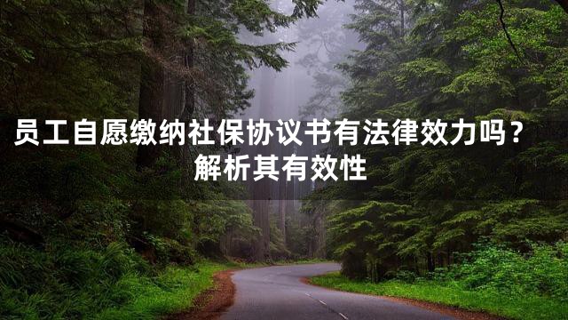员工自愿缴纳社保协议书有法律效力吗？解析其有效性
