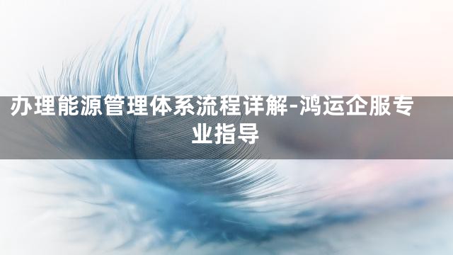 办理能源管理体系流程详解-鸿运企服专业指导