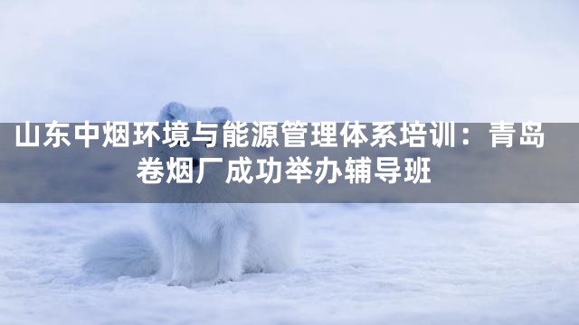 山东中烟环境与能源管理体系培训：青岛卷烟厂成功举办辅导班
