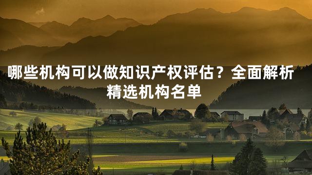 哪些机构可以做知识产权评估？全面解析精选机构名单