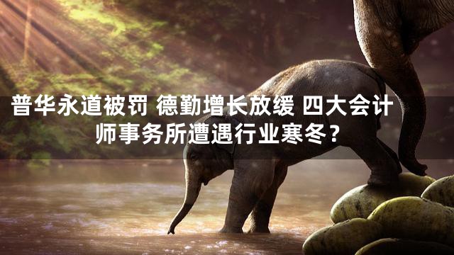普华永道被罚 德勤增长放缓 四大会计师事务所遭遇行业寒冬？