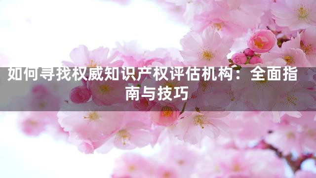 如何寻找权威知识产权评估机构：全面指南与技巧