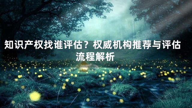 知识产权找谁评估？权威机构推荐与评估流程解析