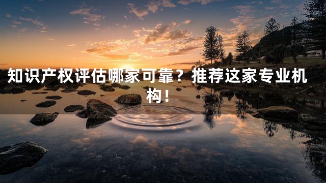 知识产权评估哪家可靠？推荐这家专业机构！
