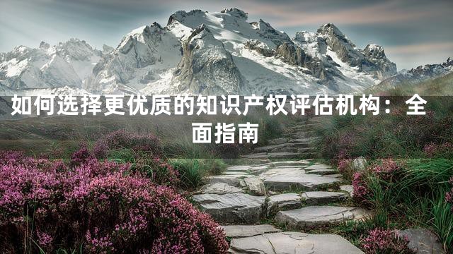 如何选择更优质的知识产权评估机构：全面指南